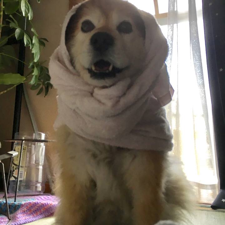 55392f6d 2b5d 4a01 8cab a5c3bd9851e9 1561340031397