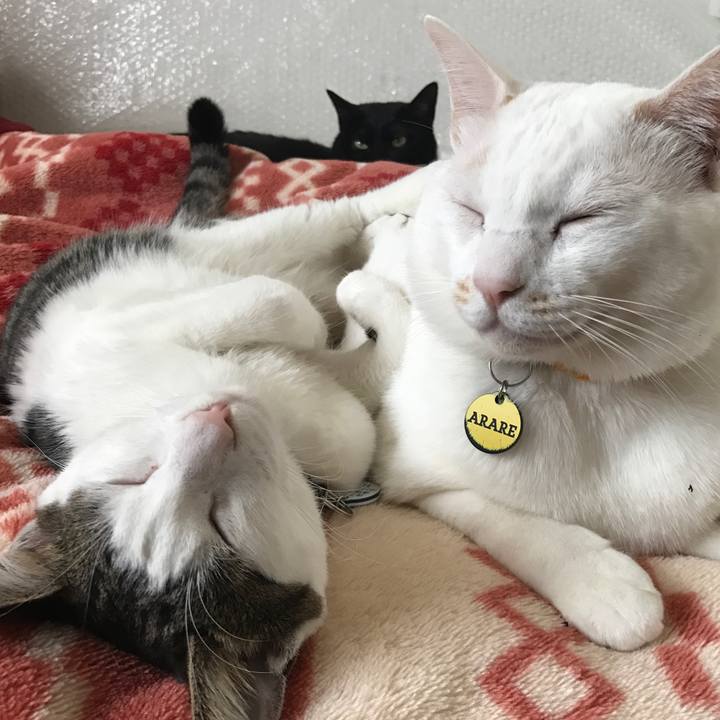 5539672a 9c9a 4164 adee 8bf134731cc2 1510235298868