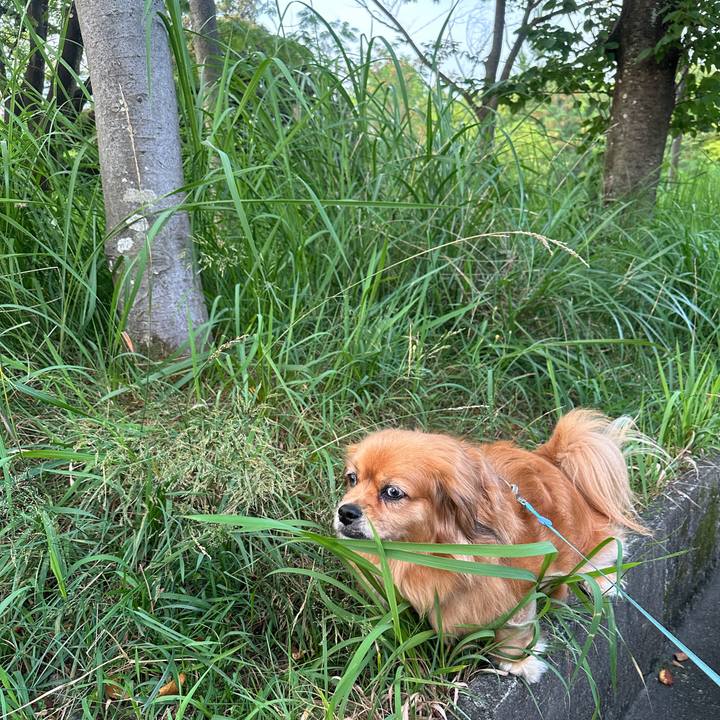 55396b21 2f4b 4da8 94b8 88c42c03ec49 1688674071658