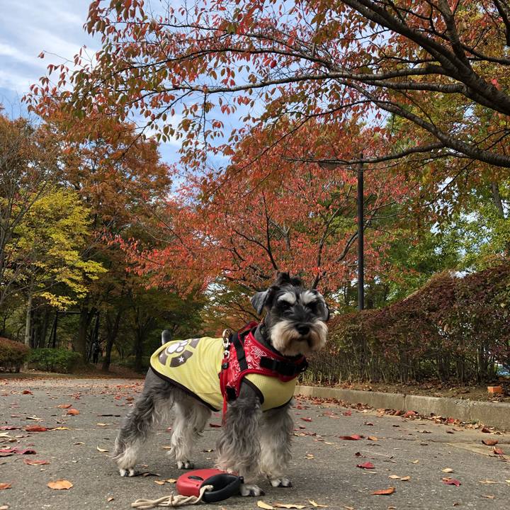 55397aa6 f212 4573 9beb 0d364410786f 1572839713150