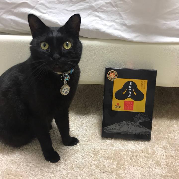 553982e2 b284 425d 8f3a 12e27522532c 1518060078600