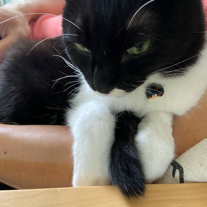 5539a5f1 c8f2 4ffa be58 43fd051fa8f2 1571098654470