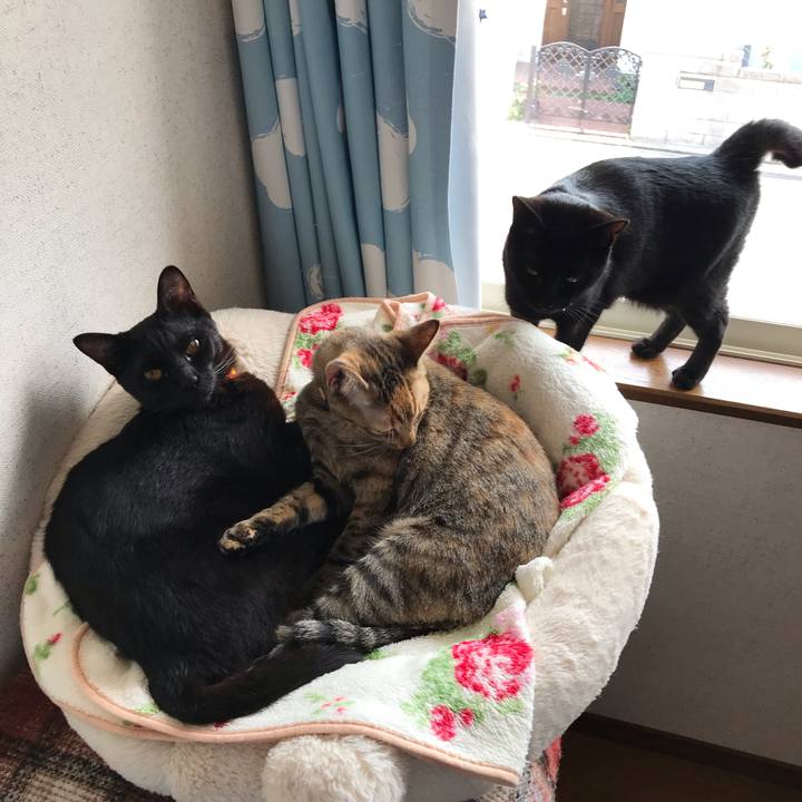 5539baf0 abb9 426f bcd6 907e3ca7059e 1557736356760