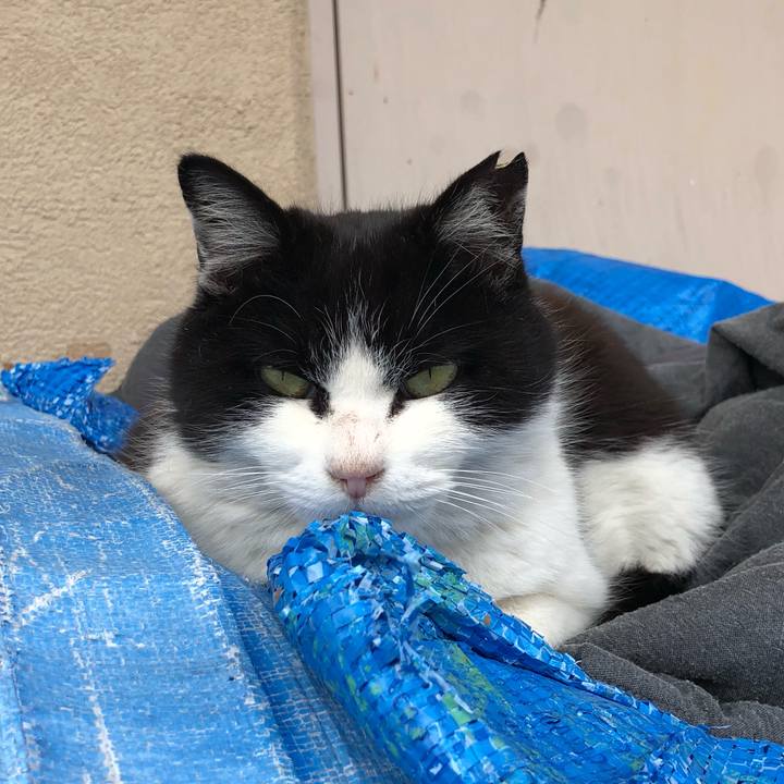 5539e64b c4c6 4dc8 ab77 d36fbcc64294 1615301646436