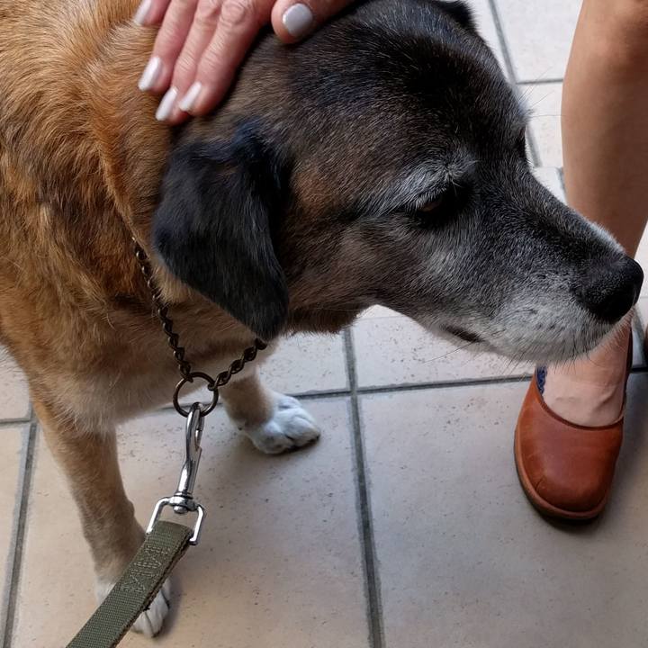 553a0571 0860 45f1 a73f dfbb31260f18 1525169355798