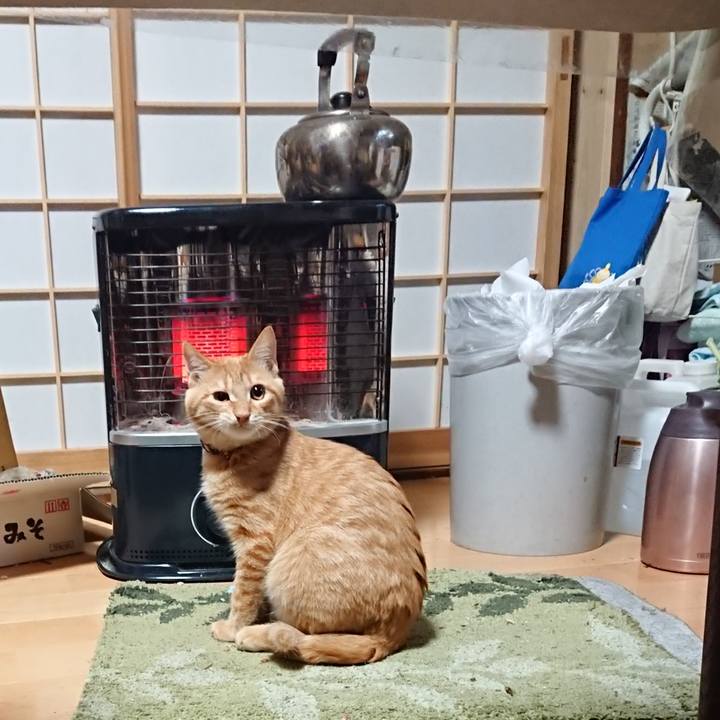 553a06f3 950e 4a0b 9b23 51bf065b9623 1635803199862