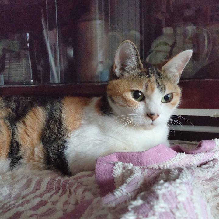 553a5ea0 2324 40a9 9e78 280c2520738f 1714864580535