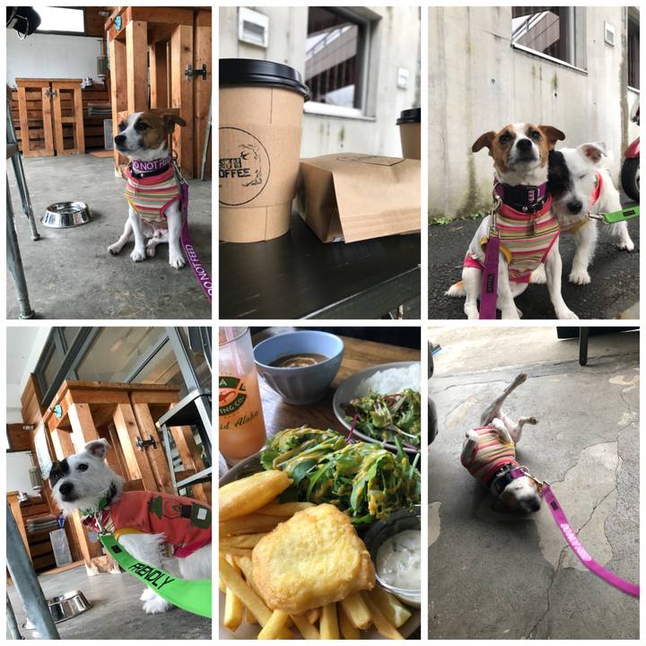 553a9d93 2856 4fdb abfc 7c0a8d642bc8 1507968728167