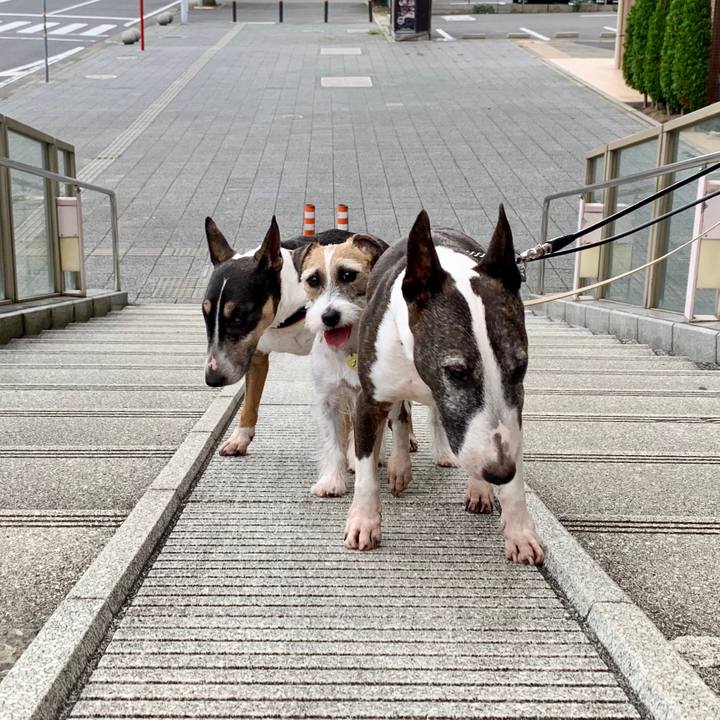 553aaca3 ed59 4d73 8a2d 60a9e491ffab 1603016128707