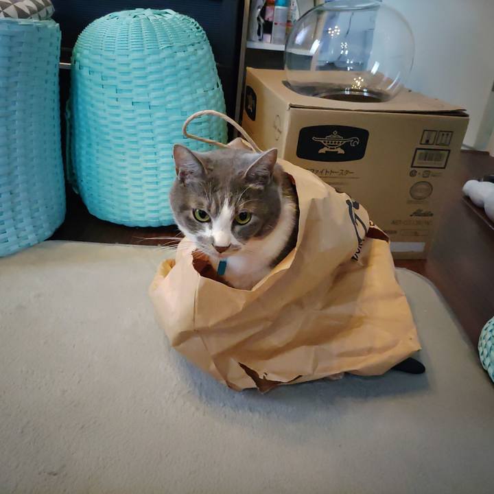 553ae721 cfe1 4217 b1a1 f734112c14d4 1655258815483