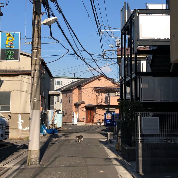 553afad6 27bd 4500 87d9 926e99a109a8 1609364960507