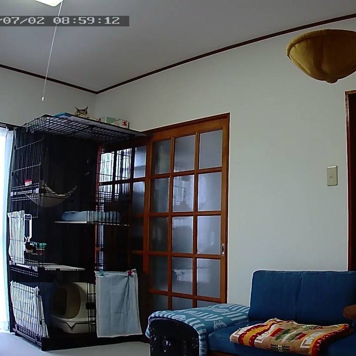 553b0db7 be49 4cb3 b84f ac53415a406f 1562025616207