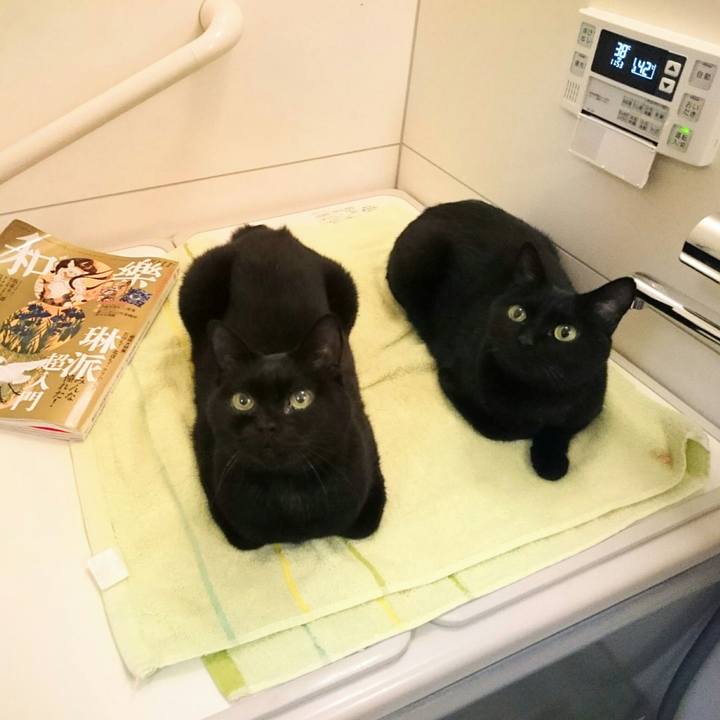 553b129d 4836 48e1 832f d81e008af363 1511313123750