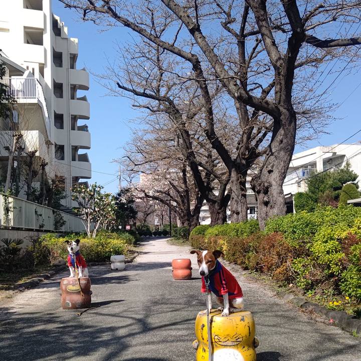 553b13ef 3da4 4577 8f19 4b6a5835e6f3 1711757975065