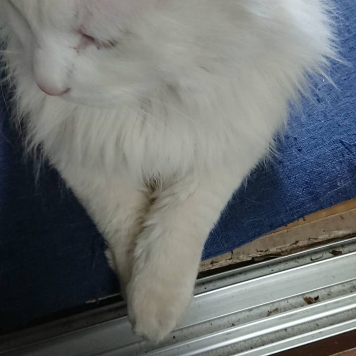 553b2ab4 b6d8 46f2 b344 7f30ef18370e 1520461661208