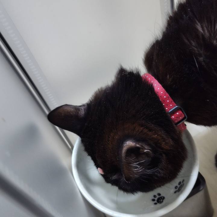 553b32d6 66a2 469c a9b5 30e2993548b5 1769683986130