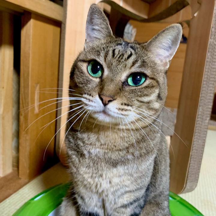 553b3828 1a16 48bb a78c a7175f1e88bc 1658577209955