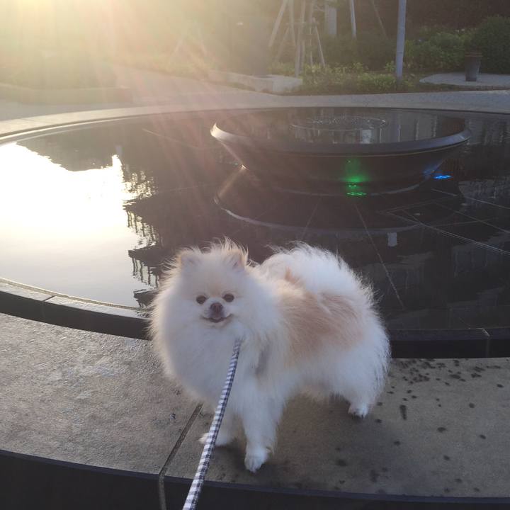 553ba2ba d3bf 418b 901c 48a698de2bc5 1524344594000