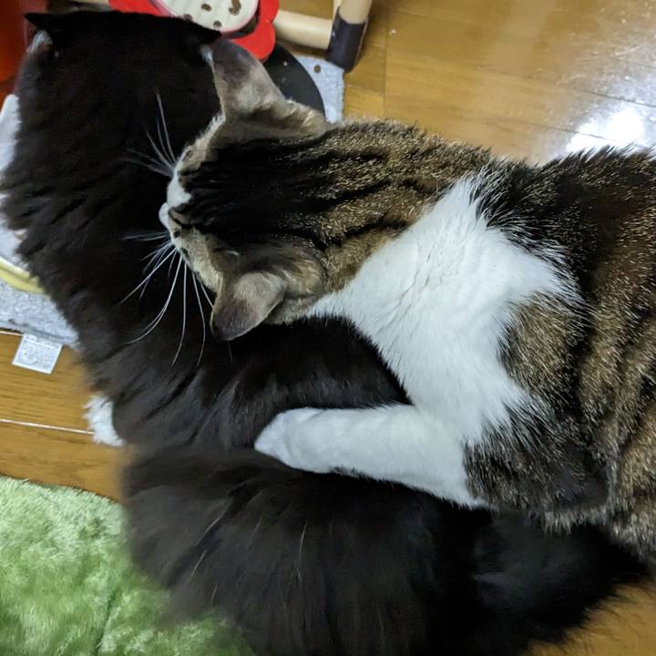 553bb237 8d20 47d9 a783 f56d22c4fc15 1674731493762