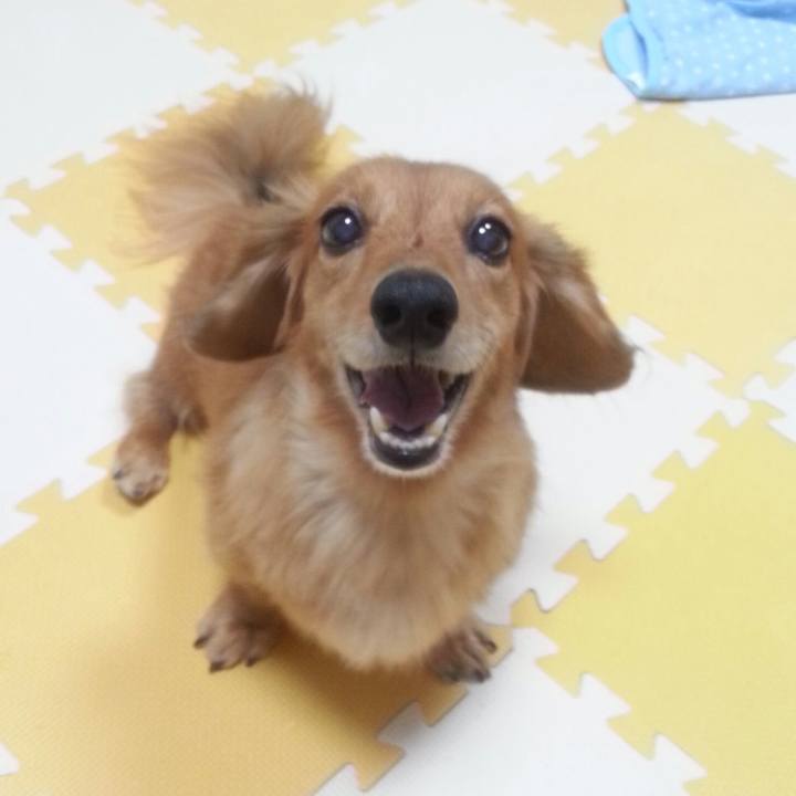 553bc1b7 cf85 4377 b7d5 d8a9895182cf 1538488535500