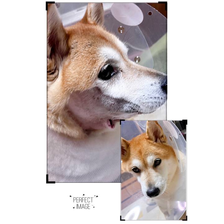 553c0c7a 4d67 498f b3d8 4a9c940bba9f 1704366801639