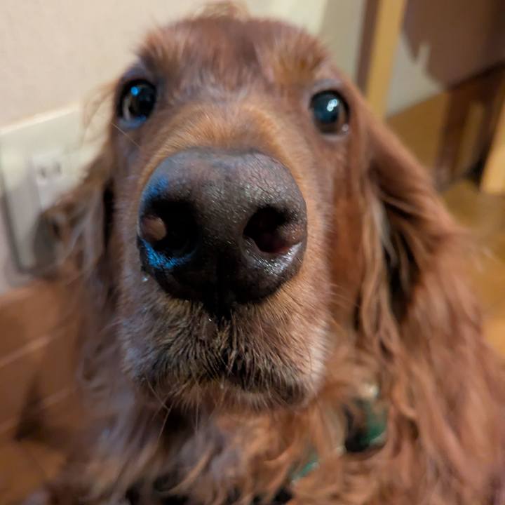 553c1ab7 e47e 418b 9514 4c8dcb3a566d 1756245703625