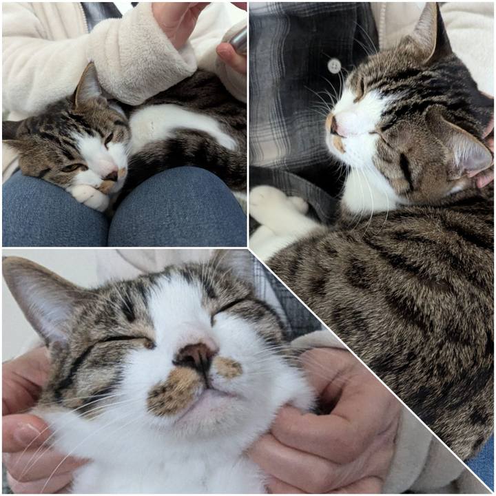 553c3bf4 d326 4505 a480 ab0aa23b7423 1740890694761