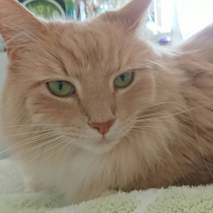 553c4d5d 355d 4a26 b6c2 d15e00bfbd05 1528362412885