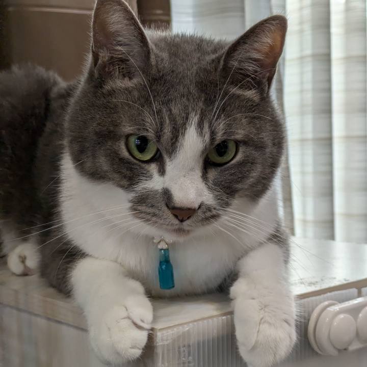 553c99a3 0cca 4cbe 84e7 2a8bd5fdf2bd 1725178327923