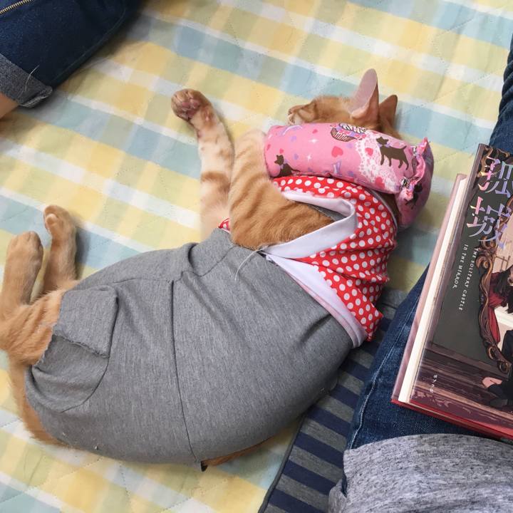 553ca82b 6581 4476 b9a6 8ab8ab3663bf 1527993949363