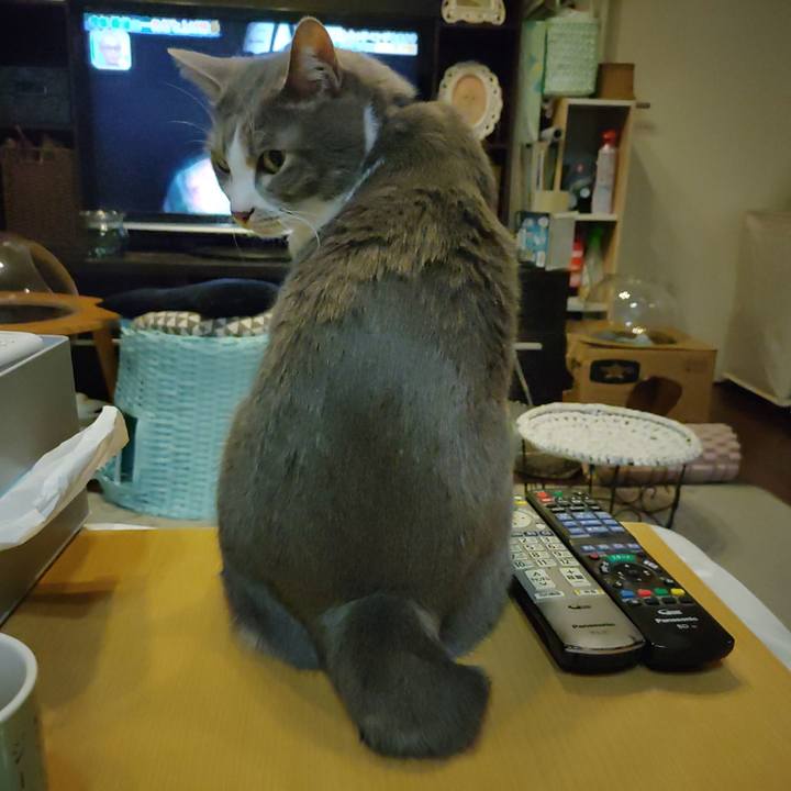 553d1704 613d 4dd7 8a6e 10d2999c1997 1672402599783