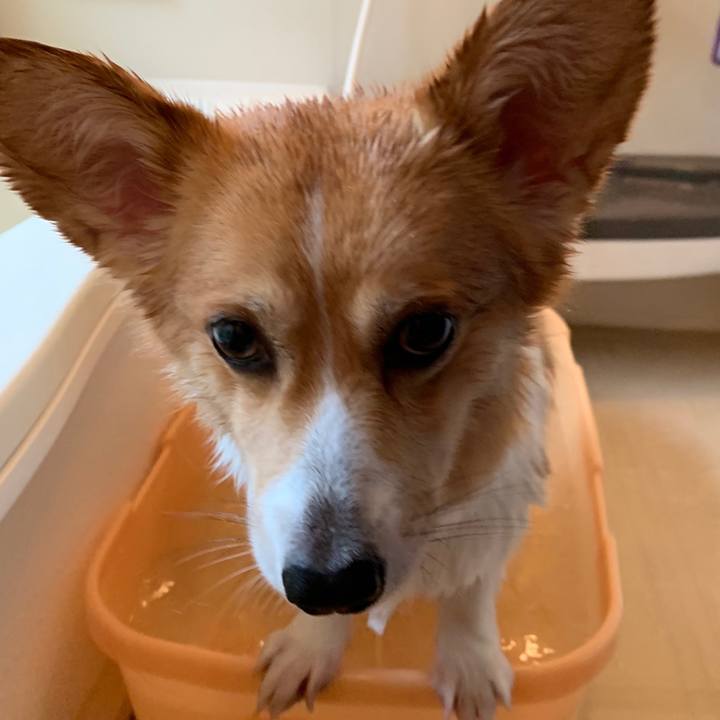 553d25f5 b39e 4386 8f17 294554010c61 1563092602624