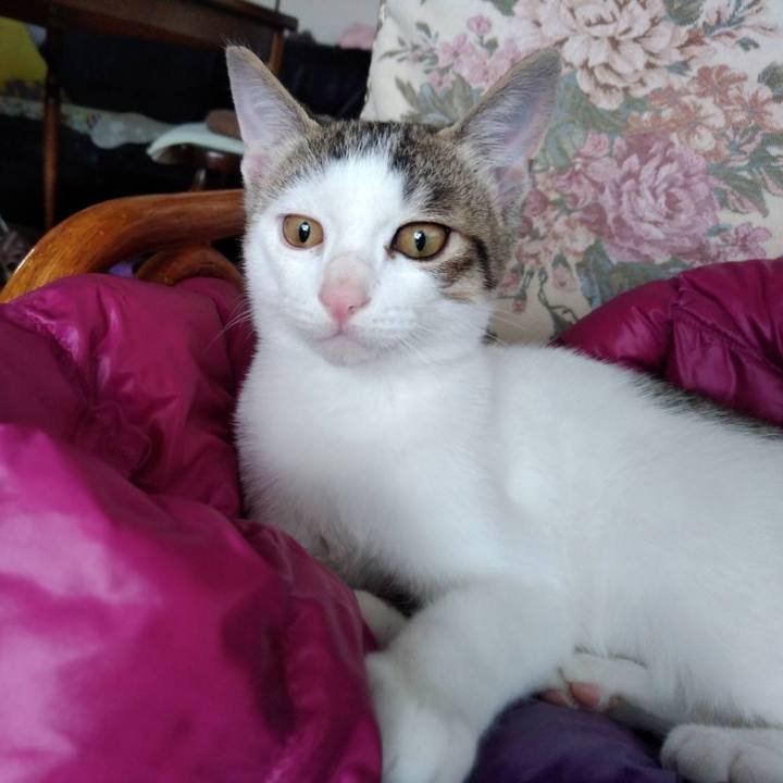 553d3abf 8b04 4db1 b899 7a405c10d3e1 1640350688019