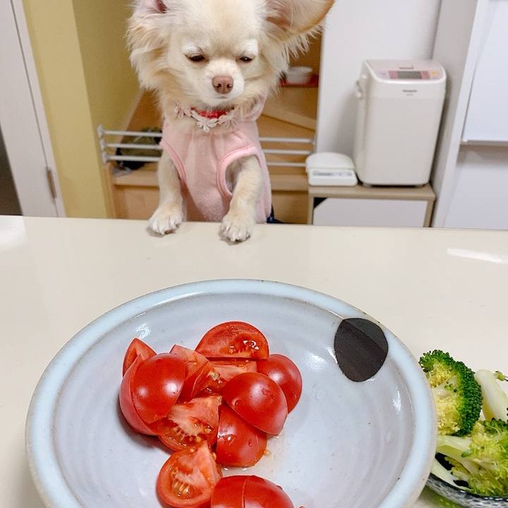 553d7c01 8728 4b59 ba90 27019232c006 1615260230602