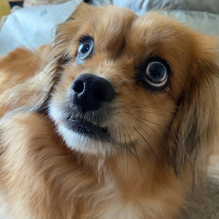 553d89e9 b338 4d04 a7bf f3fa93ccbd2c 1615039448322