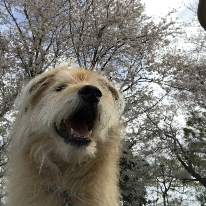 553db00f 982e 4932 acbf bfe5097b32c8 1617019182606