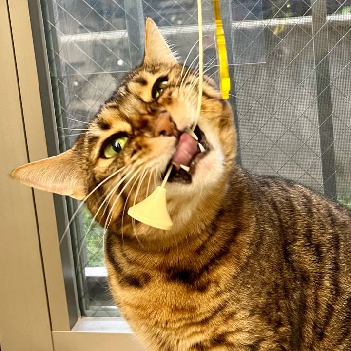 553dbd40 93fa 427f ae7a 2f3ad9f4d7d5 1663546377722