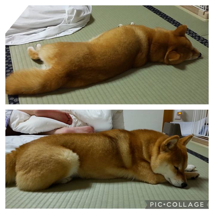 553de9b5 bc07 4aa3 a5a0 5c7b5e63e520 1686743715429