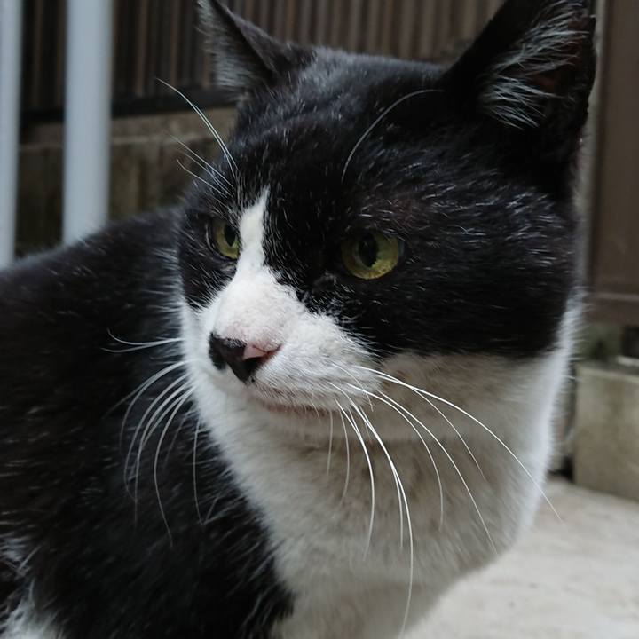 553debb1 7f12 4be8 9f06 1f5fe41f8ac1 1643930228903