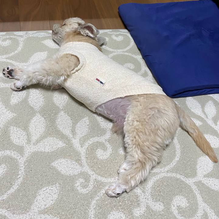 553e0748 4d38 485d b0e0 aec627071764 1742807365863