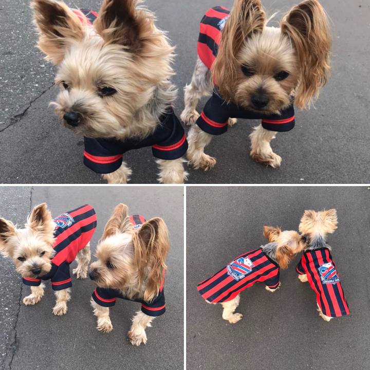 553e1297 3329 42a5 89f3 9afda17b37d6 1602322319477