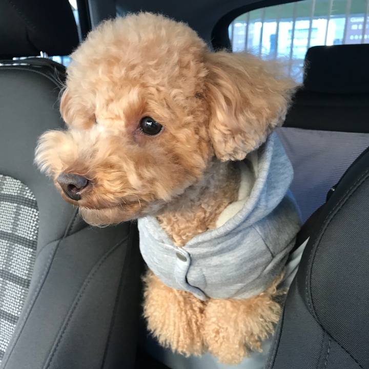 553e16b2 3b71 4aed 9213 eb194bbfd1ff 1517729212960