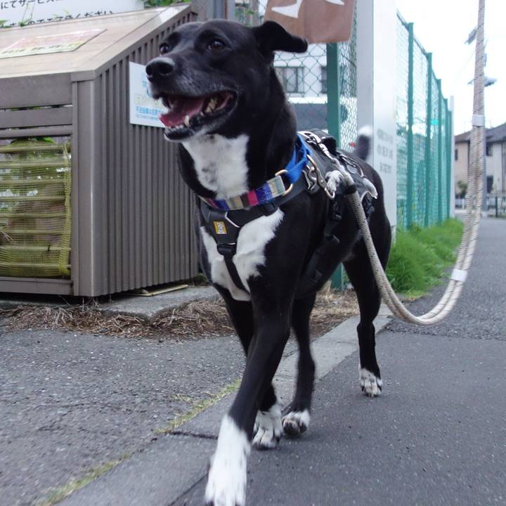 553e6694 a606 4a94 bc49 d28233afb051 1654685890346