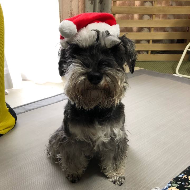 553e6c96 457d 4a6a 8ee4 3aa589156d5b 1577069955822