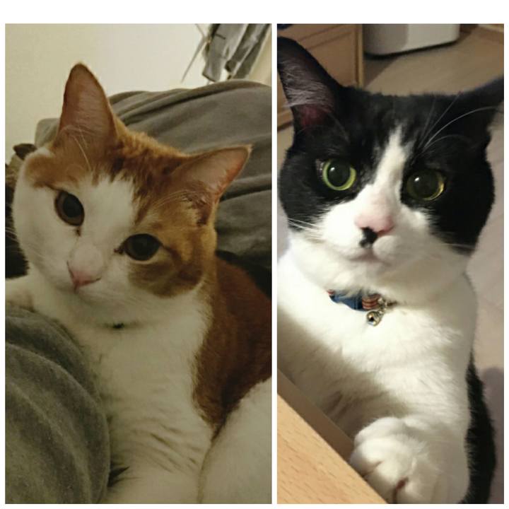 553e8658 b142 48e5 a8f6 ba6fa923cebb 1577803470339