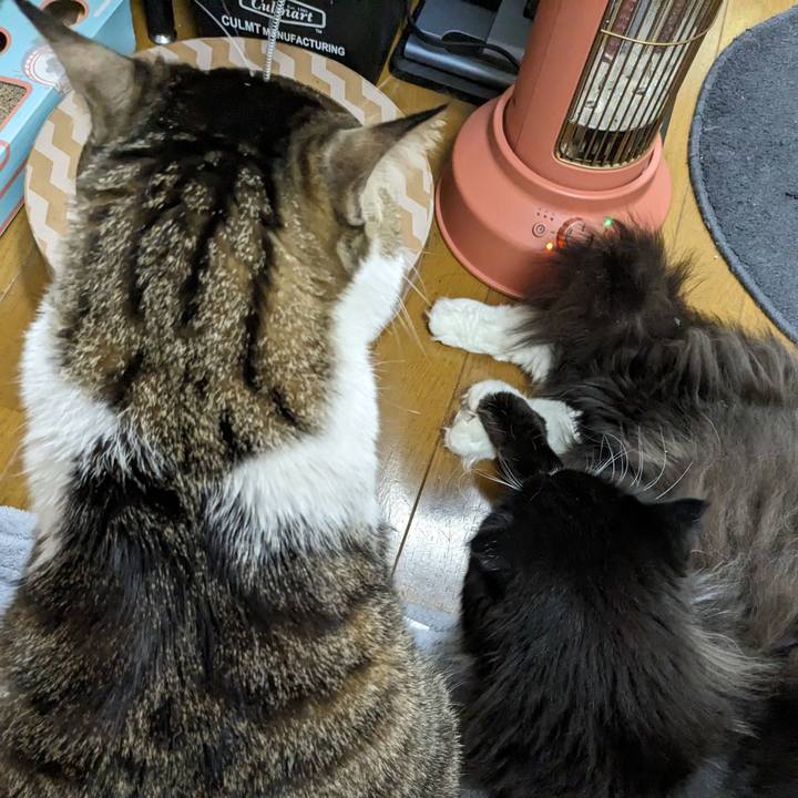 553ea461 c7ea 485c baf1 858b94dc3f5f 1702096520087