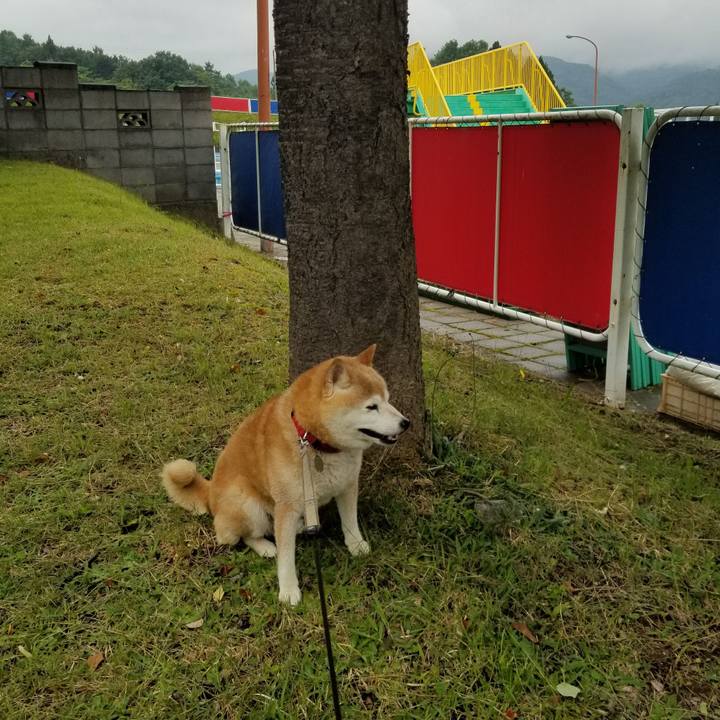 553f29e6 1b70 407b b842 c24b66f95b3e 1719542326778