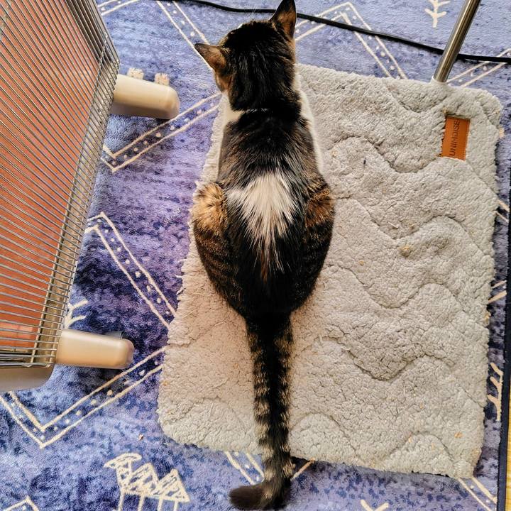 553f3811 7394 4eac abf2 4aa9f943fdc3 1774076870829