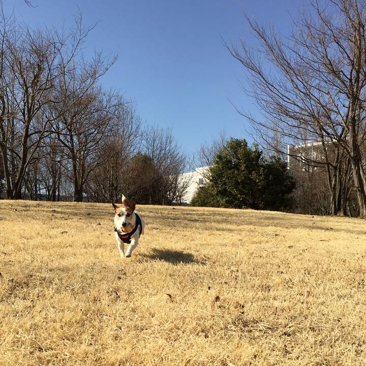 553f4b66 be17 4aa7 af57 64d0a0e8dbe4 1614122801431