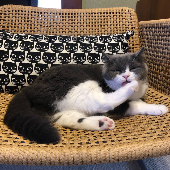 553f642e 05cd 4463 8bb5 bab3509aa65f 1597629106328